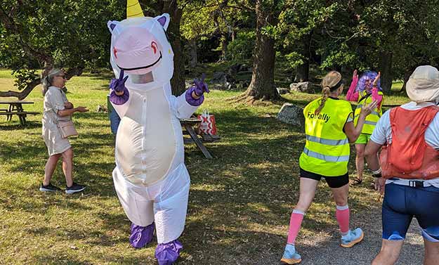 Enhörning i skogen